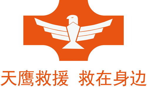 廣東天鷹救援技術(shù)服務(wù) 專業(yè)守護，安全護航