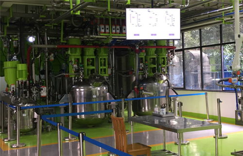 南雄噸袋投加卸料設(shè)備廠 專業(yè)技術(shù)服務(wù)，高效解決方案